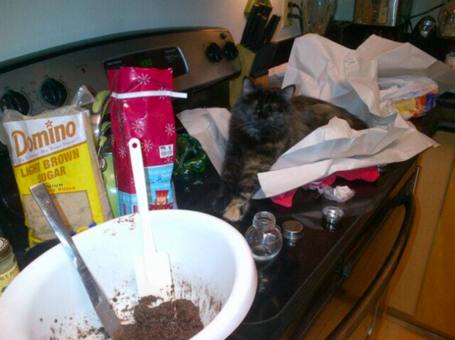 Blanche wanted to help me make the coffee scrub.