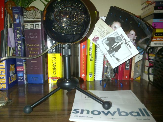 My fancy new microphone.