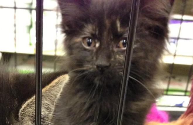 My first sight of Blanche.