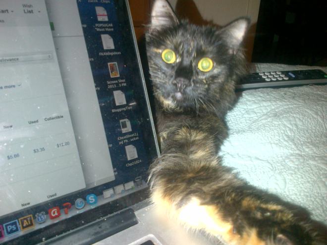 Blanche always keeps me company. 