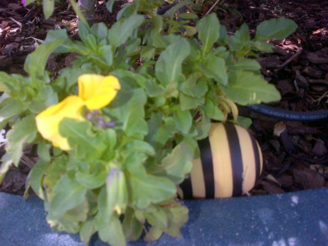 ...and it was all yellow.