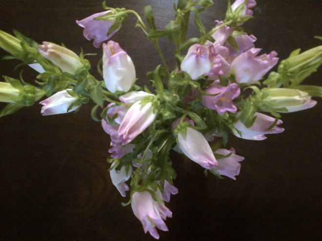 Pretty flowers on my dining table. 