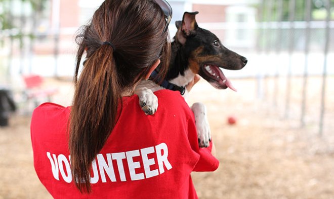 Volunteering: chew on that!