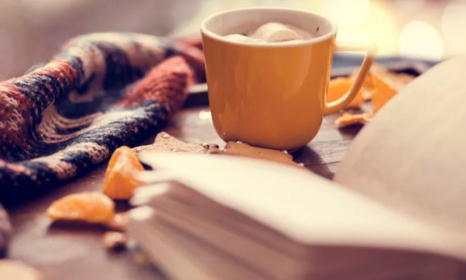 Books to cozy up with this fall.