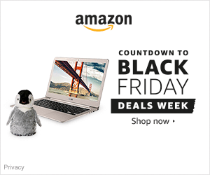 1013506_us_events_countdowntobf2_template_associate_300x250