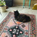 4289D050-AD36-4E40-8CA8-E8713D7AF322