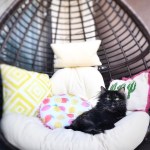 67DF2C3C-0030-4629-BD63-D39EC21B39E5