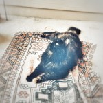 BAB789D2-903C-4376-8E01-F522AFE68506